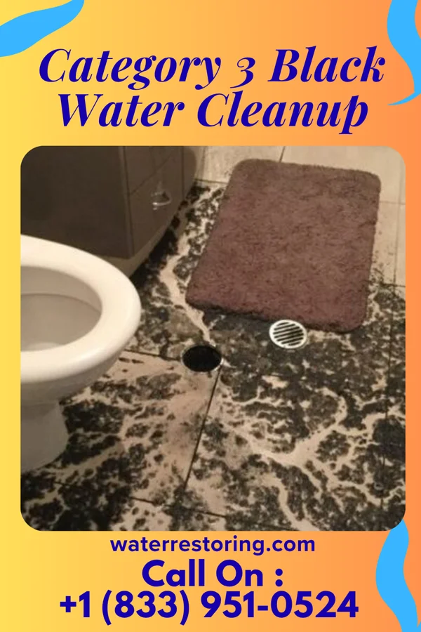 Category 3 Black Water Cleanup in Camp Barrett, VA