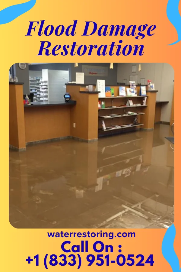Flood Damage Restoration in Camp Barrett, VA
