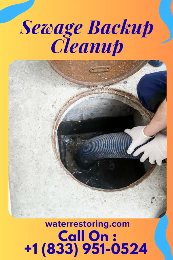 Sewage Backup Cleanup in Camp Barrett, VA