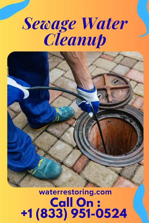 Sewage Water Cleanup in Camp Barrett, VA